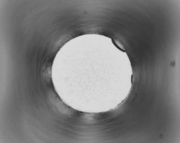 X0000112490190200909281142