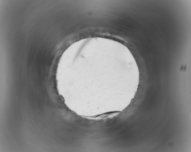 X0000112490192200909281142