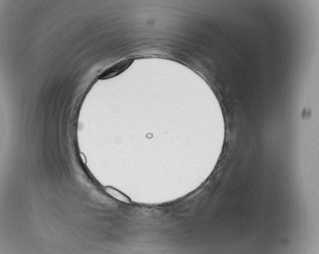 X0000112490193200909281141