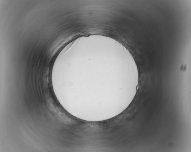 X0000112490194200909281141