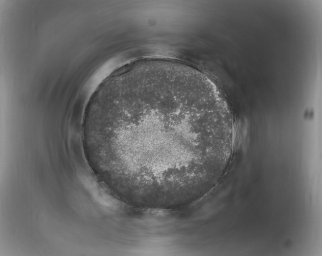 X0000112490195200909281141