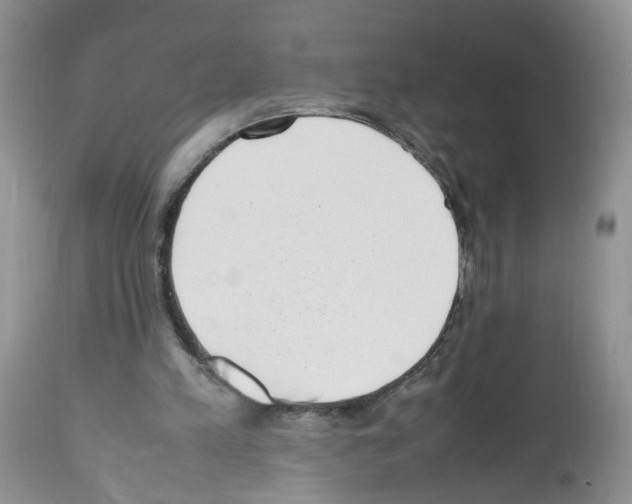 X0000112490197200909281141