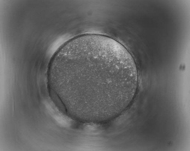 X0000112490199200909281141