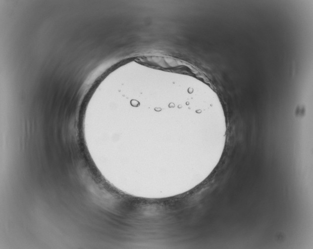 X0000112490200200909281141