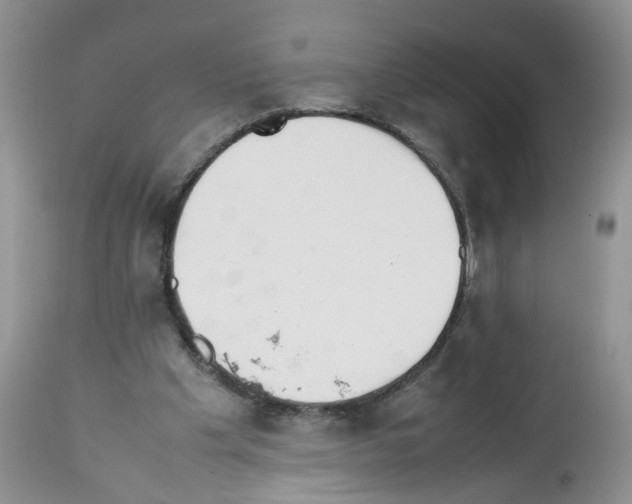X0000112490201200909281141