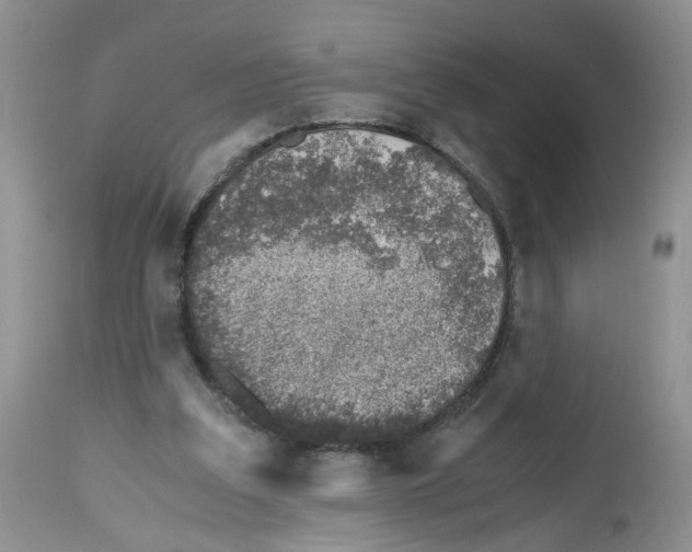 X0000112490203200909281141