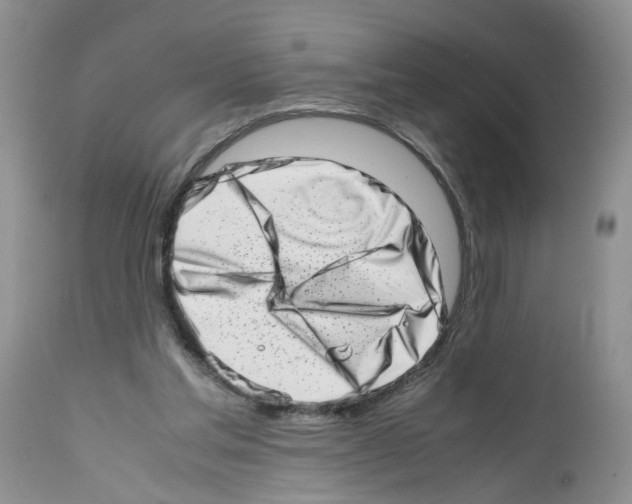 X0000112490205200909281141