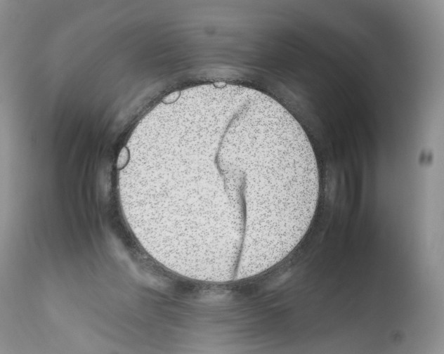 X0000112490206200909281141