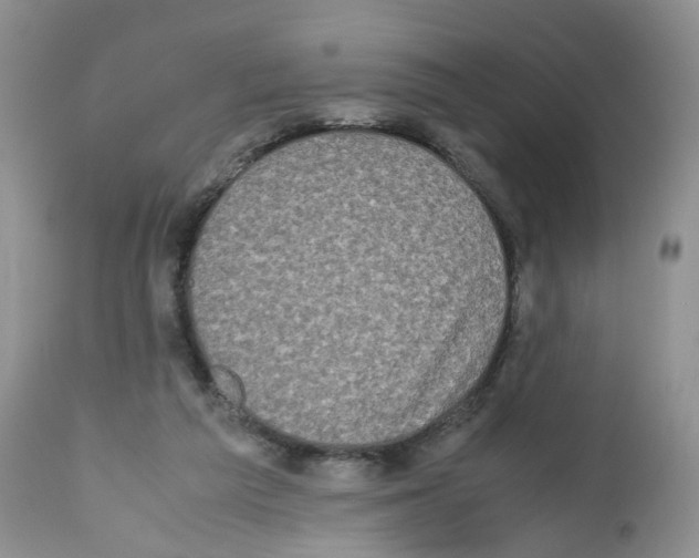 X0000112490209200909281140