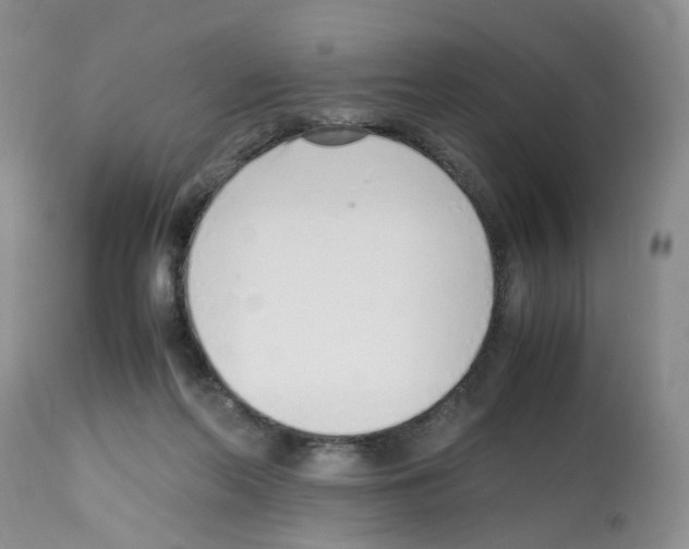 X0000112490214200909281140