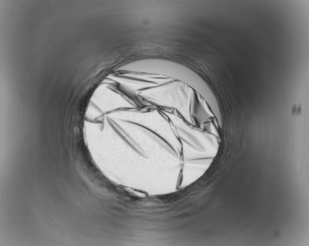X0000112490215200909281140