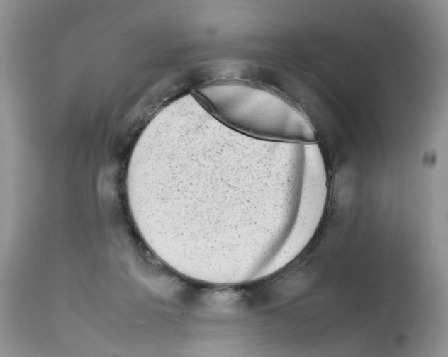 X0000112490217200909281140