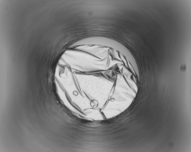 X0000112490219200909281140