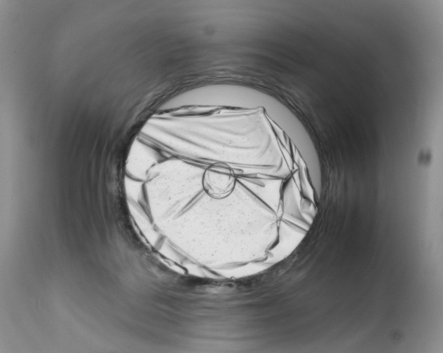 X0000112490220200909281140
