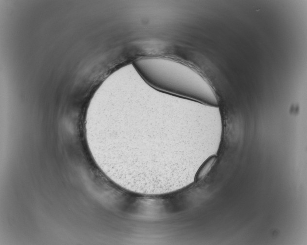 X0000112490221200909281140