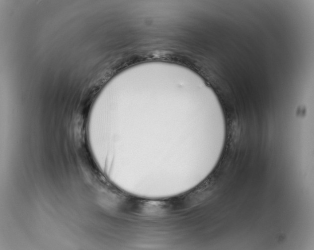X0000112490222200909281140