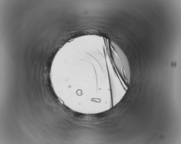 X0000112490223200909281140