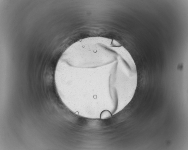X0000112490226200909281140