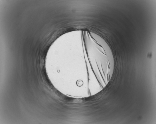 X0000112490227200909281140