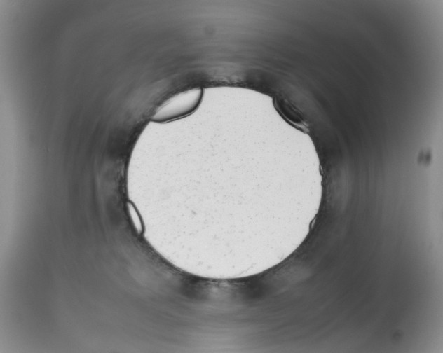 X0000112490229200909281140