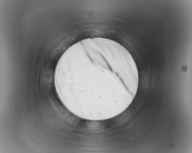 X0000112490230200909281140