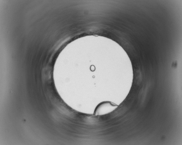 X0000112490232200909281140