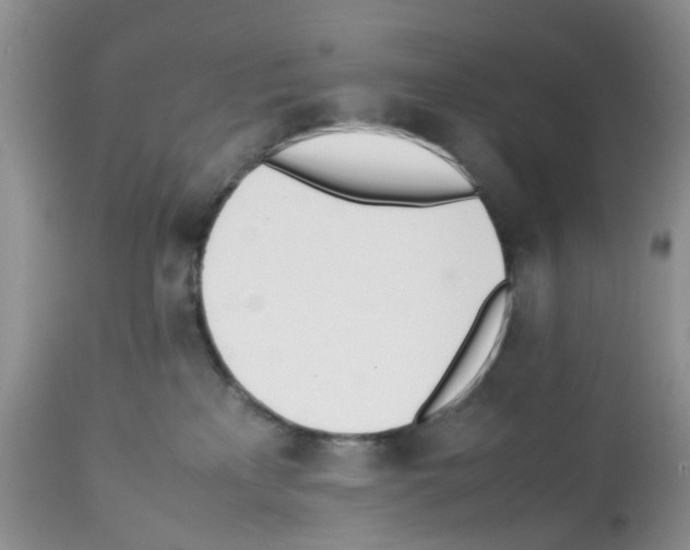 X0000112490233200909281140
