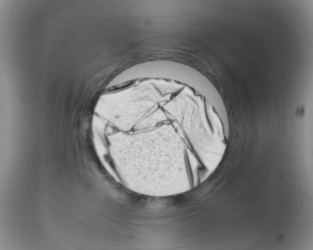 X0000112490235200909281140