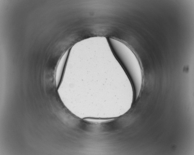 X0000112490237200909281140