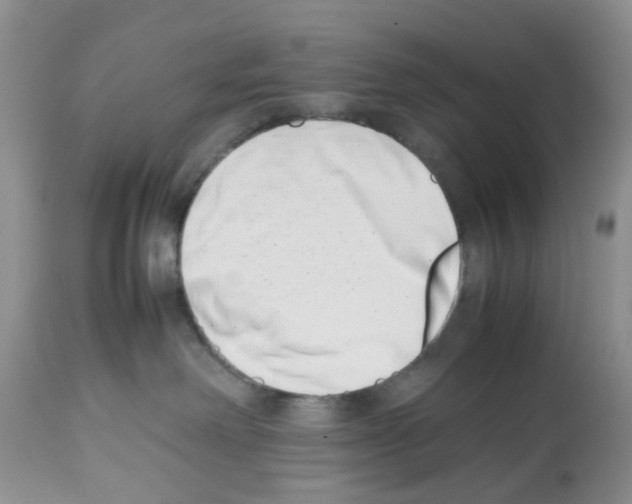 X0000112490238200909281140