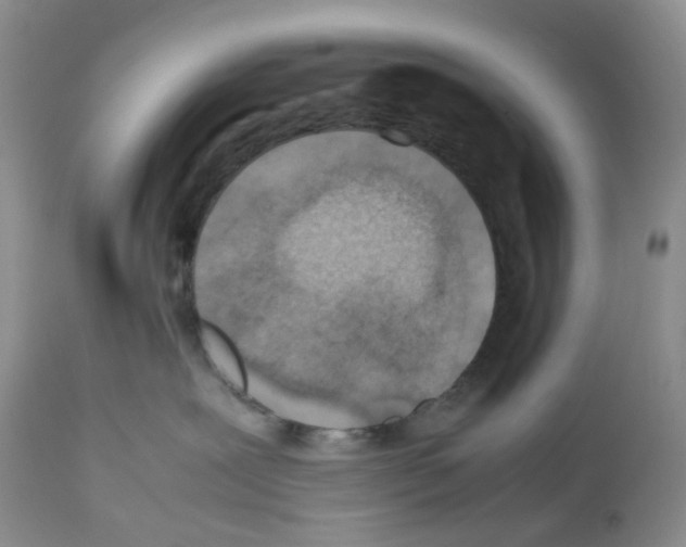X0000112490239200909281140