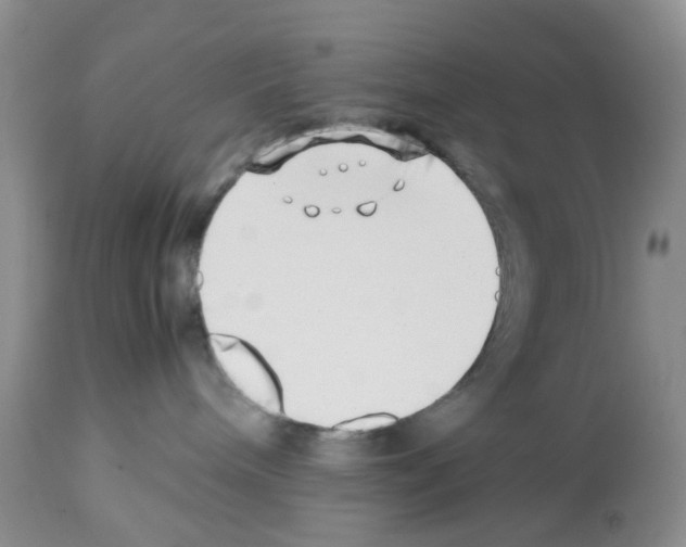 X0000112490240200909281140