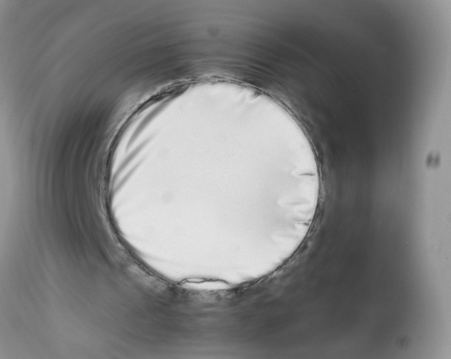 X0000112490241200909281139