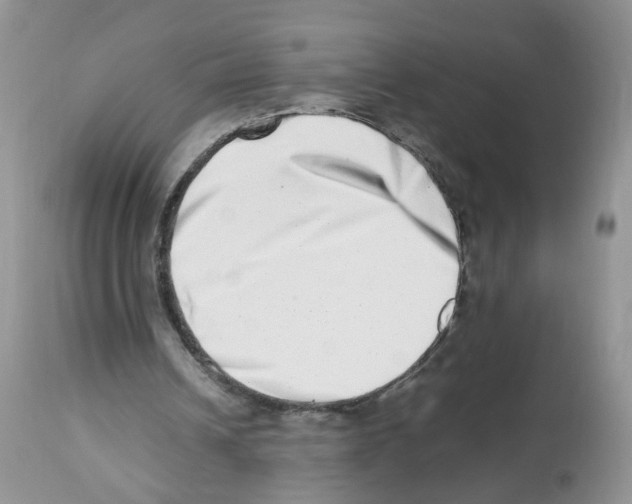 X0000112490242200909281139