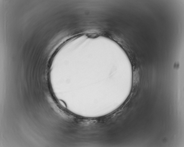 X0000112490243200909281139