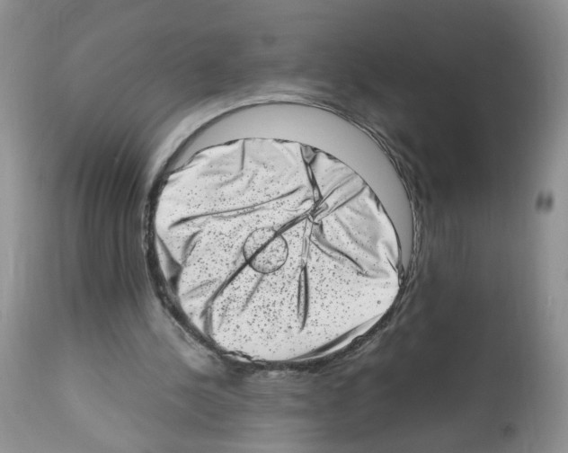 X0000112490244200909281139