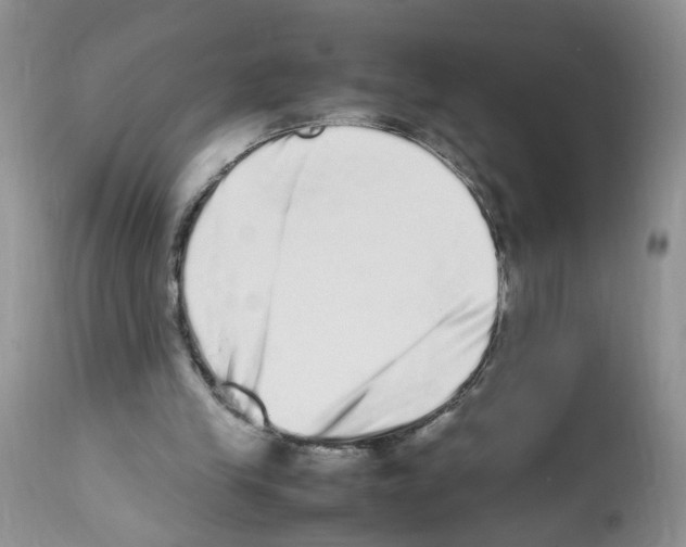 X0000112490245200909281139