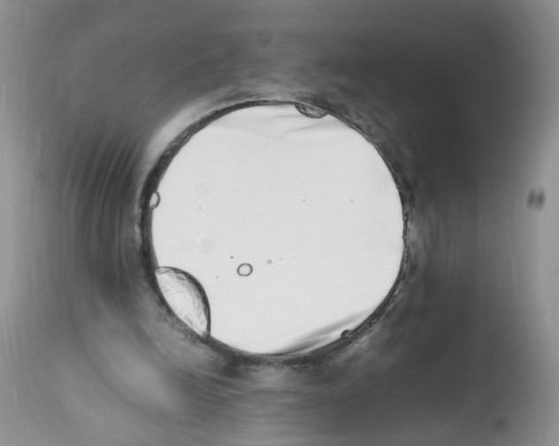 X0000112490246200909281139