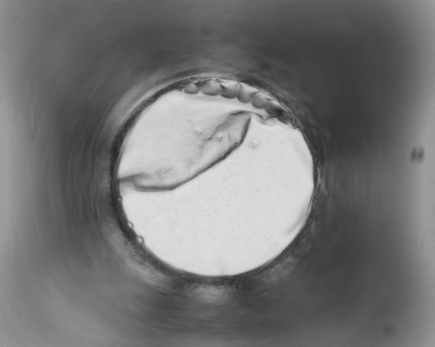X0000112490247200909281139