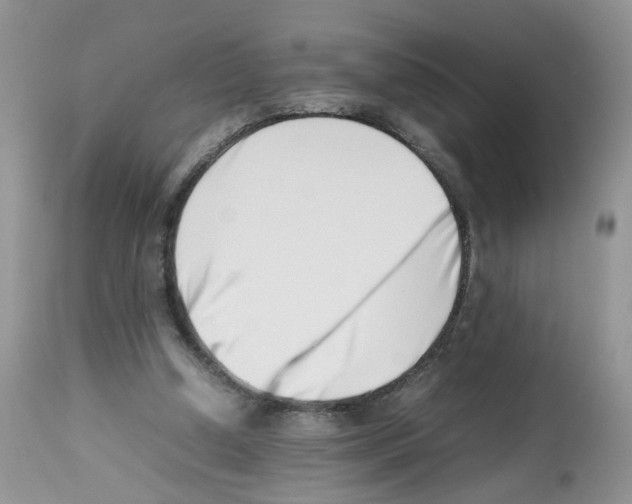 X0000112490250200909281139