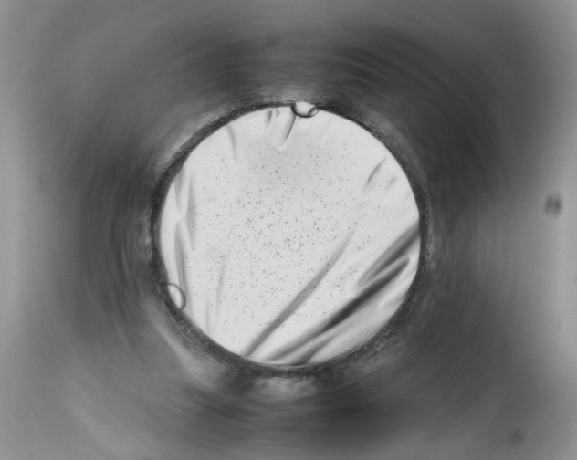 X0000112490251200909281140
