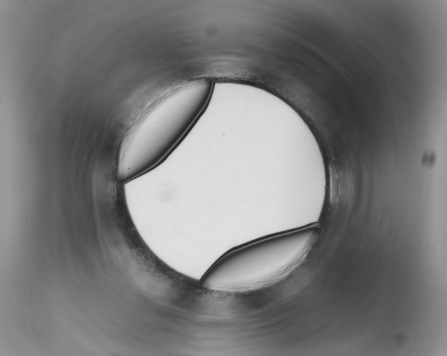 X0000112490252200909281140