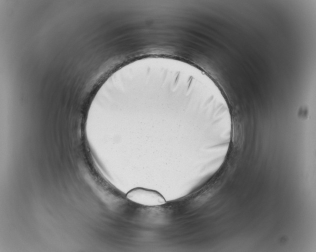 X0000112490253200909281140