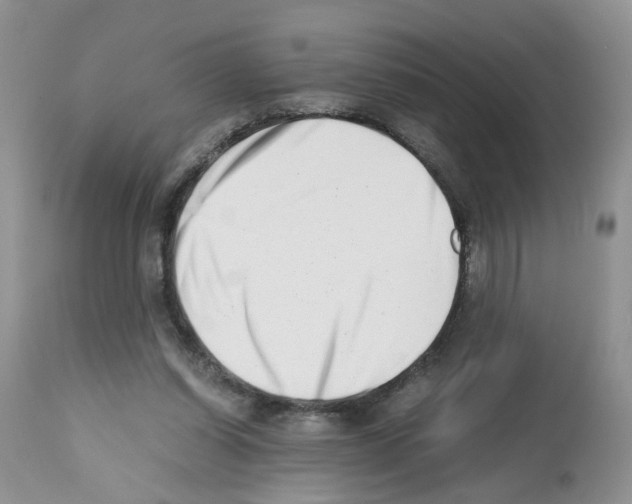 X0000112490254200909281140