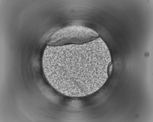 X0000112490256200909281140
