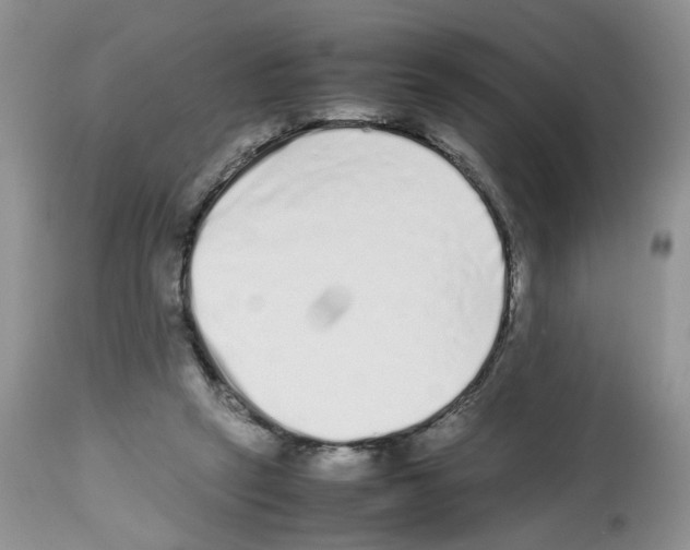 X0000112490257200909281140