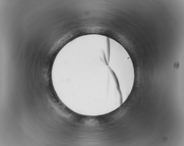 X0000112490258200909281140
