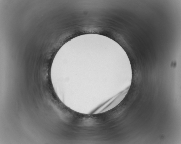 X0000112490259200909281140