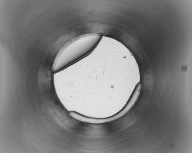 X0000112490260200909281140