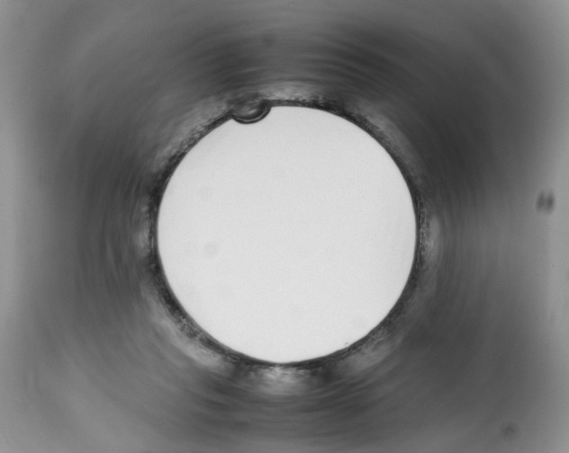 X0000112490261200909281140